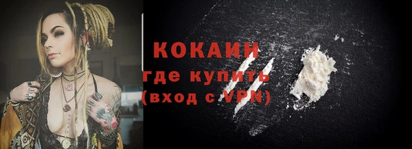 стаф Вязьма