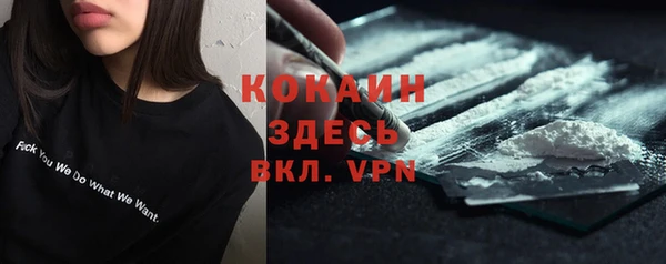 стаф Вязьма