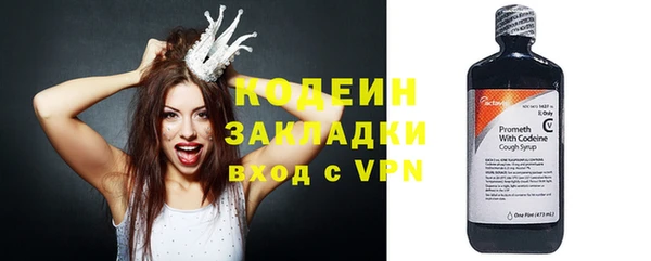 стаф Вязьма