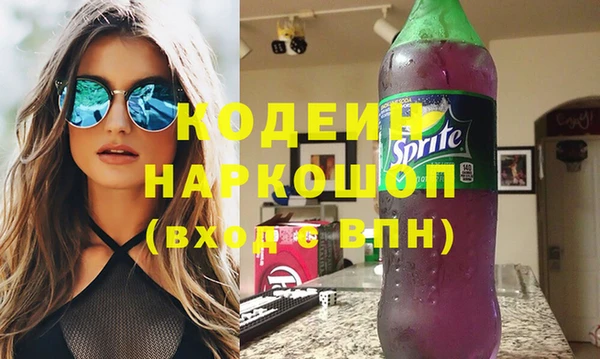 стаф Вязьма
