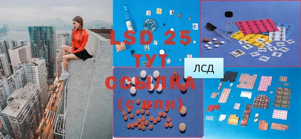 стаф Вязьма