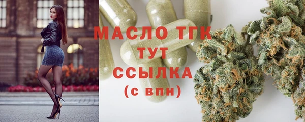 дживик Горняк