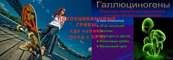 стаф Тавда