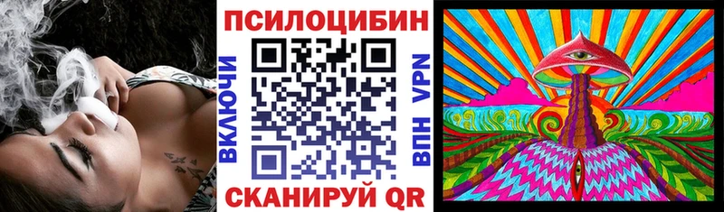 Галлюциногенные грибы Psilocybine cubensis  Донской 